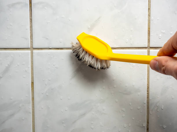 Best Mold Testing  in Lexington, MO