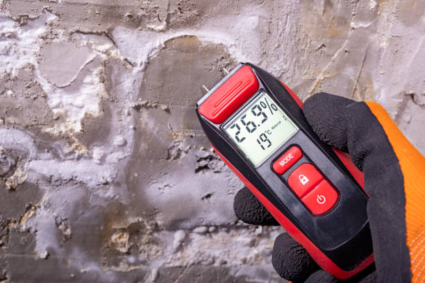 Best Local Mold Removal Service  in Lexington, MO